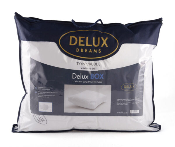 Delux Box tyyny 45x55x10cm DX10V